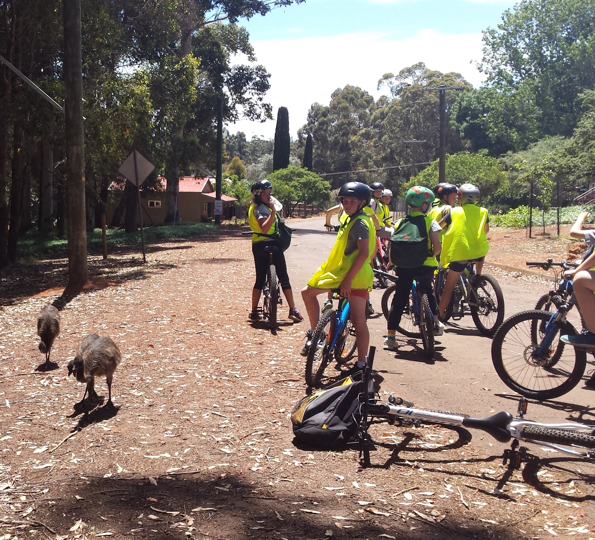 /uploaded_files/media/gallery/151210835720171122_111259 (2).jpg